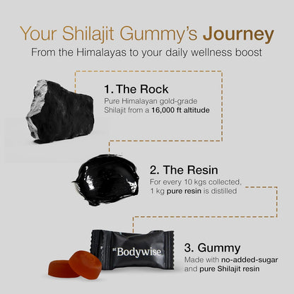 Gominolas de Shilajit Puro del Himalaya de Be Bodywise Gold